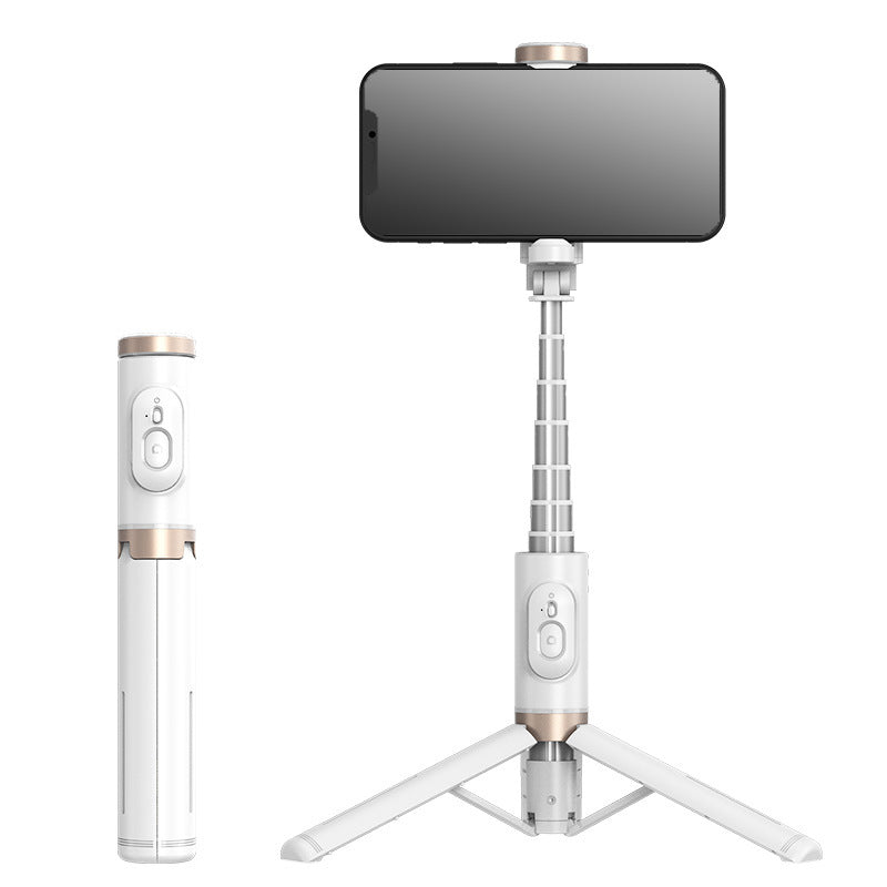 Selfie Tripod Stick with LED Light feature